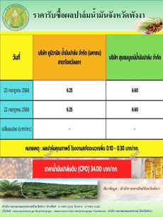 ราคารับซื้อผลปาล์มน้ำมันจังหวัดพังงา