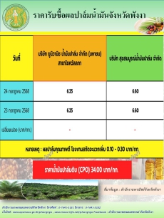 ราคารับซื้อผลปาล์มน้ำมันจังหวัดพังงา