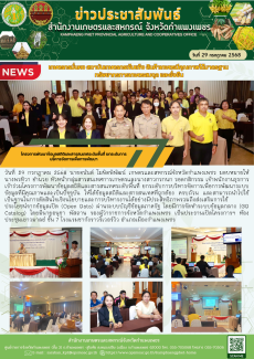 โครงการพัฒนาข้อมูลสถิติและสารสนเทศระดับพื้นที่