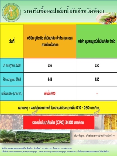 ราคารับซื้อผลปาล์มน้ำมันจังหวัดพังงา