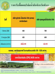 ราคารับซื้อผลปาล์มน้ำมันจังหวัดพังงา