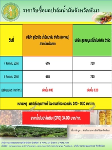 ราคารับซื้อผลปาล์มน้ำมันจังหวัดพังงา