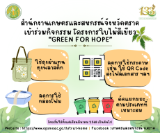 โครงการใบไม้สีเขียว (Green for HOPE)