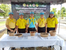 กิจกรรมปั้นเมล็ดพันธ์ุพืชในโครงการโปรยเมล็ดพันธ์ุพืชทางอากาศ
