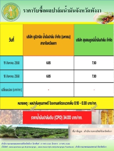 ราคารับซื้อผลปาล์มน้ำมันจังหวัดพังงา