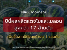 รัสเซียคาดผลผลิตแตงโม