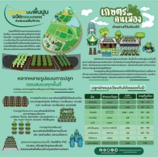 แนะนำการทำการเกษตรแบบคนเมือง ตัวอย่างจับต้องได้