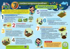7 เทคนิคการปลูกและการดูแลรักษาพืชผักในฤดูฝน