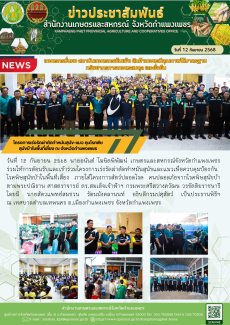 โครงการเร่งรัดผ่าตัดทำหมันสุนัข–แมว