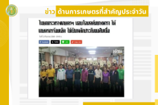 สรุปข่าวด้านการเกษตรที่สำคัญประจำวันที่ 13-15 กันยายน 2568