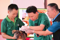 提升 30%绝育率 共筑无狂犬病环境 泰国北柳府2025年犬猫绝育项目启动