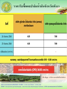 ราคารับซื้อผลปาล์มน้ำมันจังหวัดพังงา