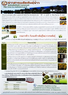 ข่าวสารเมล็ดพันธุ์ข้าว