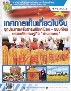 เทศกาลเก็บเกี่ยวในจีน