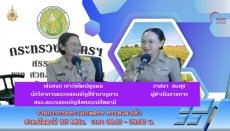 วันจันทร์ที่29กันยายน2568สำนักงานเกษตรและสหกรณ์จังหวัดปัตตานี