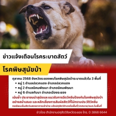 แจ้งเตือนโรคพิษสุนัขบ้าจังหวัดระยอง