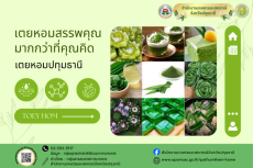 บทความเตยหอม