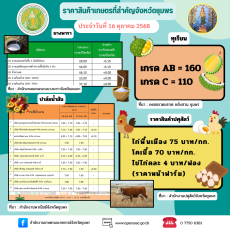 ราคาสินค้าเกษตรและสินค้าปศุสัตว์ของจังหวัดชุมพร