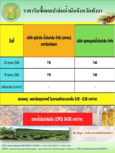 ราคารับซื้อผลปาล์มน้ำมันจังหวัดพังงา