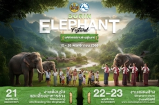 มหัศจรรย์งานช้างสุรินทร์ 2568 กลับมาอีกครั้ง!