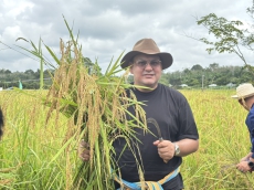 นายอามินทร์มะยูโซ๊ะรัฐมนตรีช่วยว่าการกระทรวงเกษตรและสหกรณ์เป็นประธานเปิดการเสวนาปัญหาและติดตามผลการเพาะปลูกนาข้าว