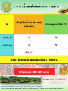 ราคารับซื้อผลปาล์มน้ำมันจังหวัดพังงา