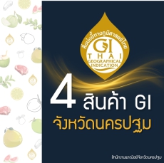 ประชาสัมพันธ์สินค้าสิ่งบ่งชี้ทางภูมิศาสตร์(GI)