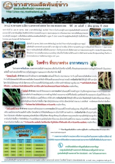 ข่าวสารเมล็ดพันธุ์ข้าว