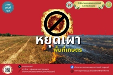 หยุดเผาพื้นที่เกษตร