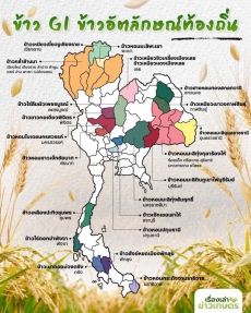 ข้าว GI อัตลักษณ์ท้องถิ่น