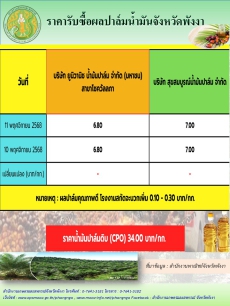 ราคารับซื้อผลปาล์มน้ำมันจังหวัดพังงา