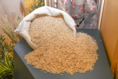 พาณิชย์ลดค่าธรรมเนียมส่งออก