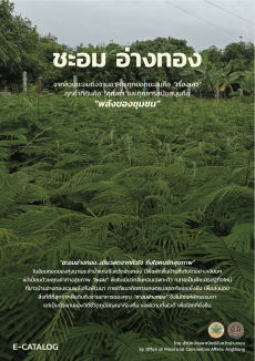 ชะอมอ่างทอง