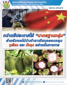 กว่างซีประกาศใช้“มาตรฐานกลุ่ม”สำหรับผลไม้นำเข้าอาเซียนครอบคลุมทุเรียนและมังคุดอย่างเป็นทางการ