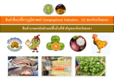 สินค้าสิ่งบ่งชี้ทางภูมิศาสตร์