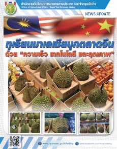 ทุเรียนมาเลเซียบุกตลาดจีนด้วย