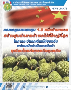 ยูนนานลงทุน1.5หมื่นล้านหยวนสร้างศูนย์กลางค้าผลไม้ที่ใหญ่ที่สุดในภาคตะวันตกเฉียงใต้ของจีนพร้อมเปิดดำเนินการปีหน้า