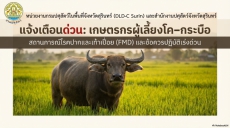 แจ้งเตือนด่วนเกษตรกรผู้เลี้ยงโค-กระบือ