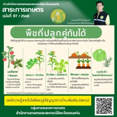 ฤดูหนาวคือฤดูปลูกผักของใครหลายคน