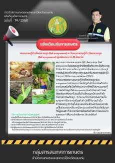 หนอนตัวร้ายของข้าวโพด