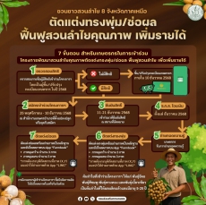 เปิด7ขั้นตอนชาวสวนลำไย8จังหวัดภาคเหนือ