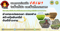 รณรงค์หยุดเผาในพื้นที่การเกษตร