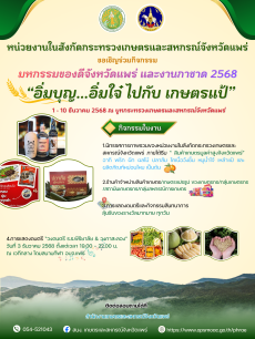 มหกรรมของดีจังหวัดแพร่ และงานกาชาด ประจำปี 2568