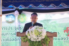 จังหวัดเลยประชุมระดมความเห็นแก้ไขปัญหาการแพร่กระจายของแมลงวันและพัฒนาการผลิตแก้วมังกรให้เป็นมิตรกับสิ่งแวดล้อม