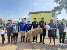 ผู้ตรวจราชการกระทรวงเกษตรและสหกรณ์ นายวิทยา แก้วมี ลงพื้นที่ตรวจติดตามสถานการณ์อุทกภัย และให้ความช่วยเหลือผู้ประสบอุทกภัยร่วมกับหน่วยงานต่างๆ ในพื้นที่ ณ อำเภอระโนด จังหวัดสงขลา