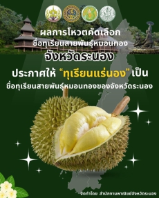 ผลการโหวตคัดเลือกชื่อทุเรียนสายพันธุ์หมอนทอง