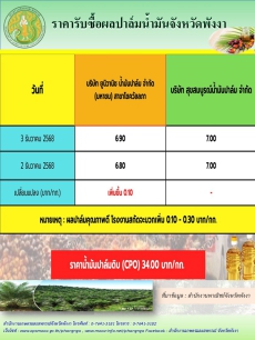 ราคารับซื้อผลปาล์มน้ำมันจังหวัดพังงา