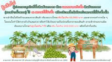 ประกาศปิดป้ายแสดงราคารับซื้อมะพร้าวหน้าสวน