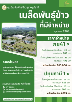 ประชาสัมพันธ์ข่าวสารเมล็ดพันธุ์ข้าว