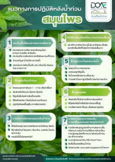 แนวทางการปฏิบัติหลังน้ำท่วมสมุนไพร